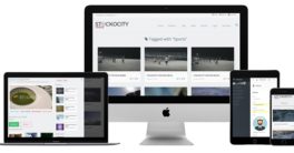 stockocity-2-Review
