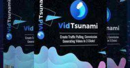 VidTsunami-Review