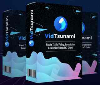 VidTsunami-Review